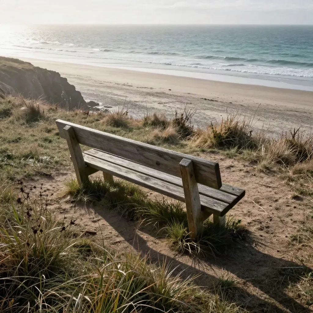 Weathered bench on a windy coastal headland above a misty waterline